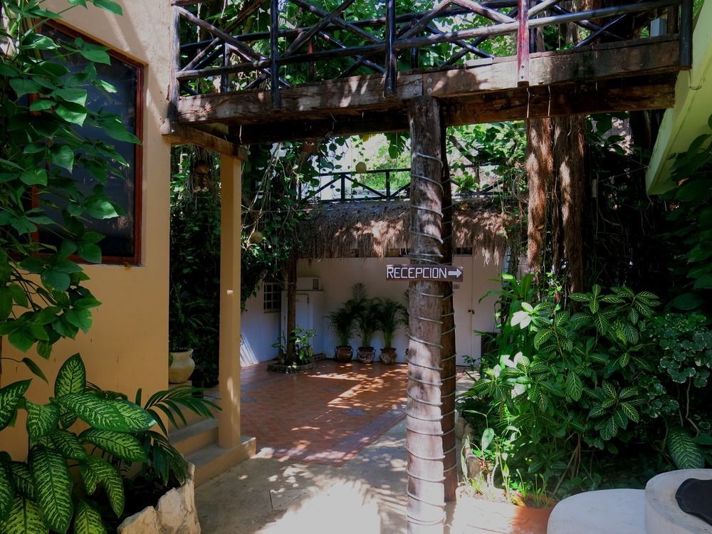 Hotel Club Yebo Πλάγια Ντελ Κάρμεν Εξωτερικό φωτογραφία