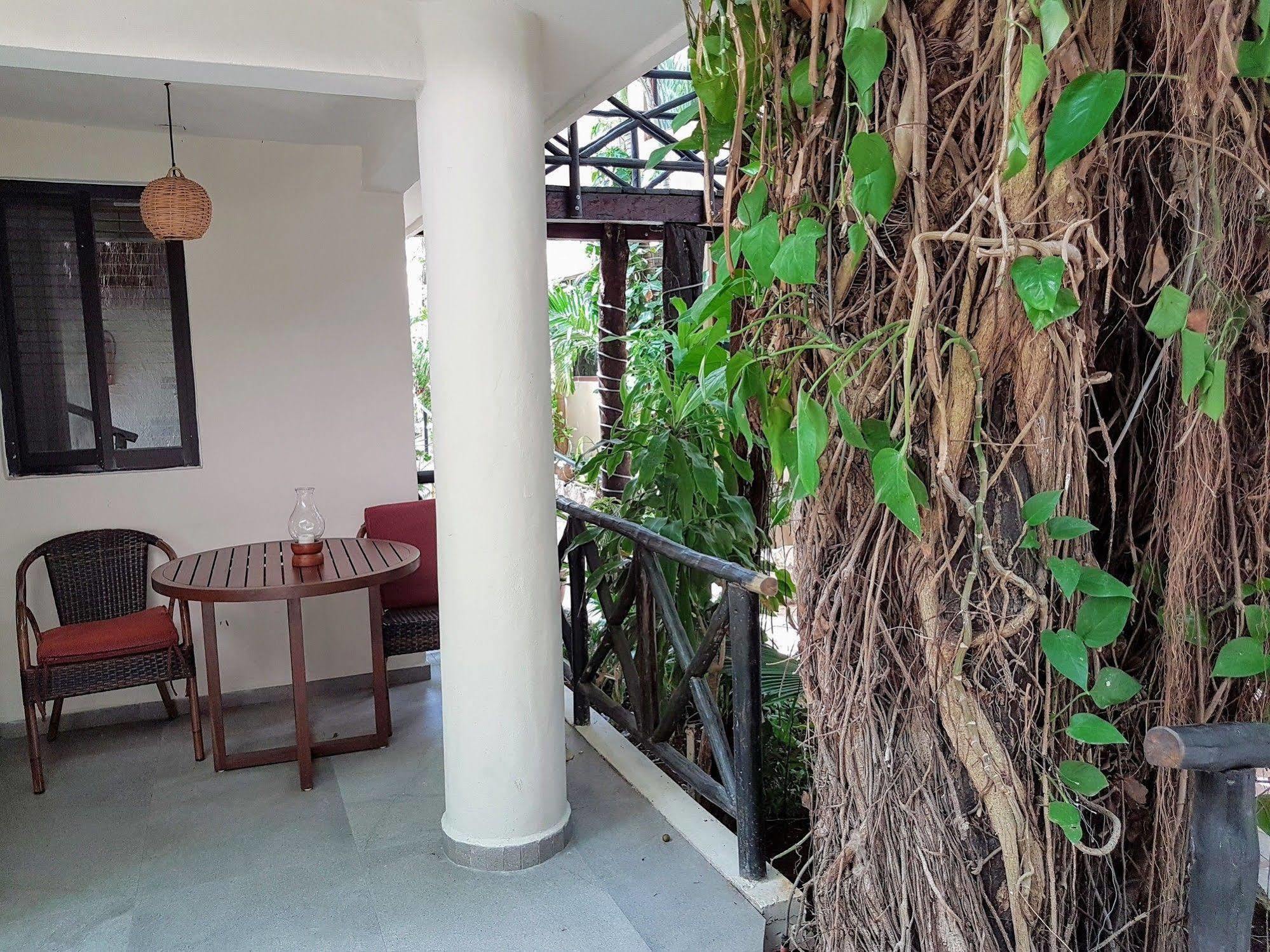 Hotel Club Yebo Πλάγια Ντελ Κάρμεν Εξωτερικό φωτογραφία