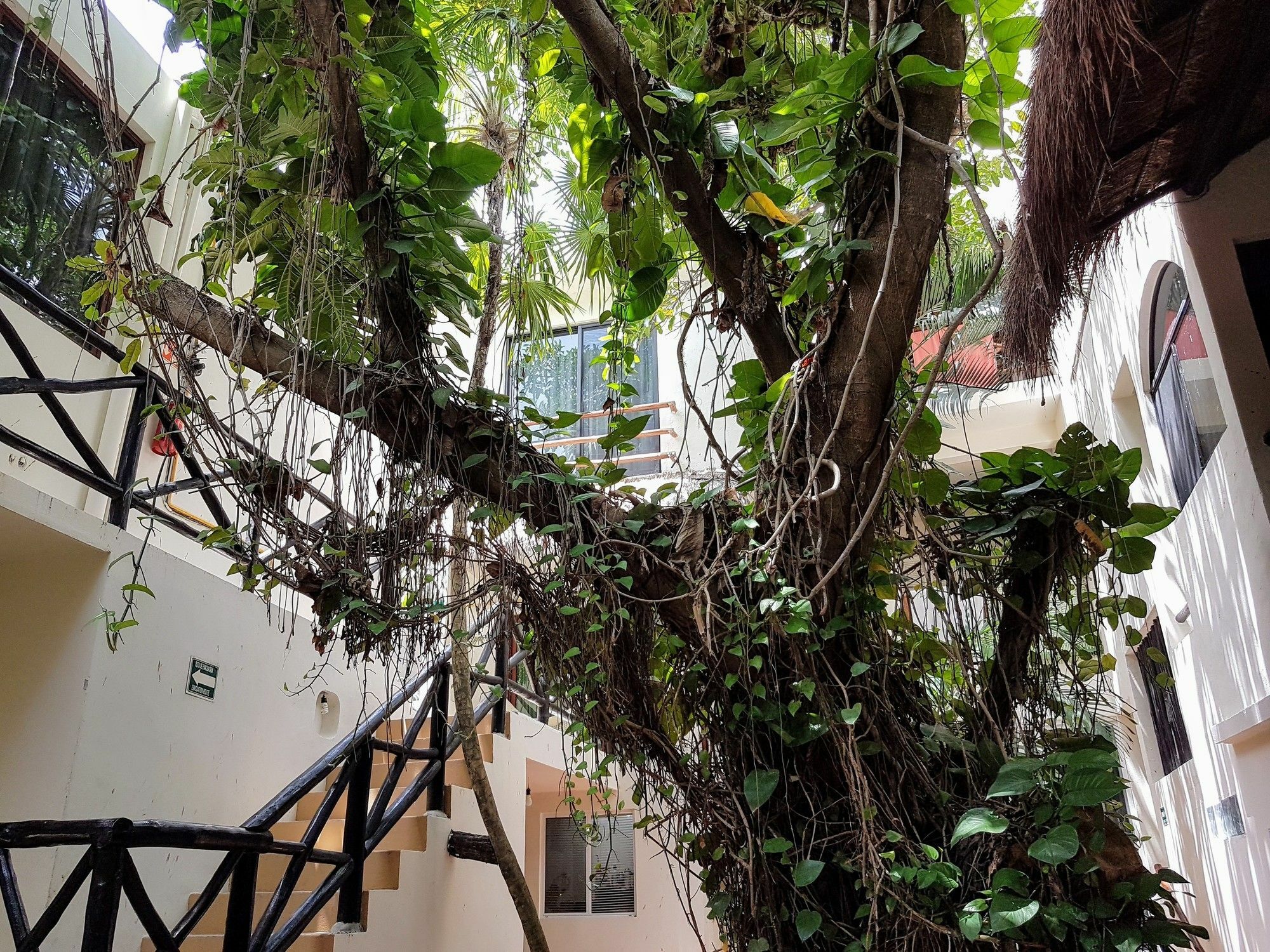 Hotel Club Yebo Πλάγια Ντελ Κάρμεν Εξωτερικό φωτογραφία