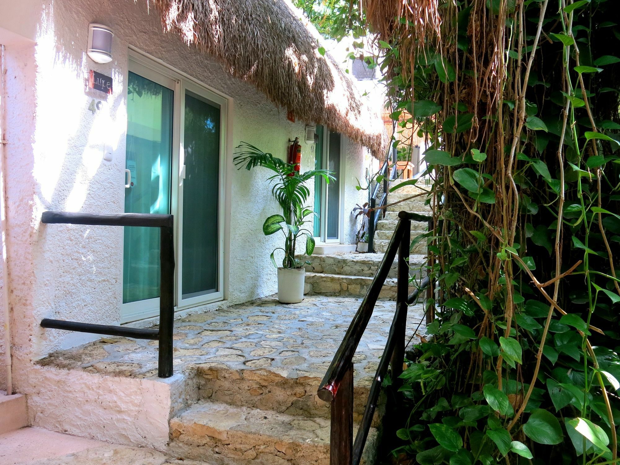 Hotel Club Yebo Πλάγια Ντελ Κάρμεν Εξωτερικό φωτογραφία